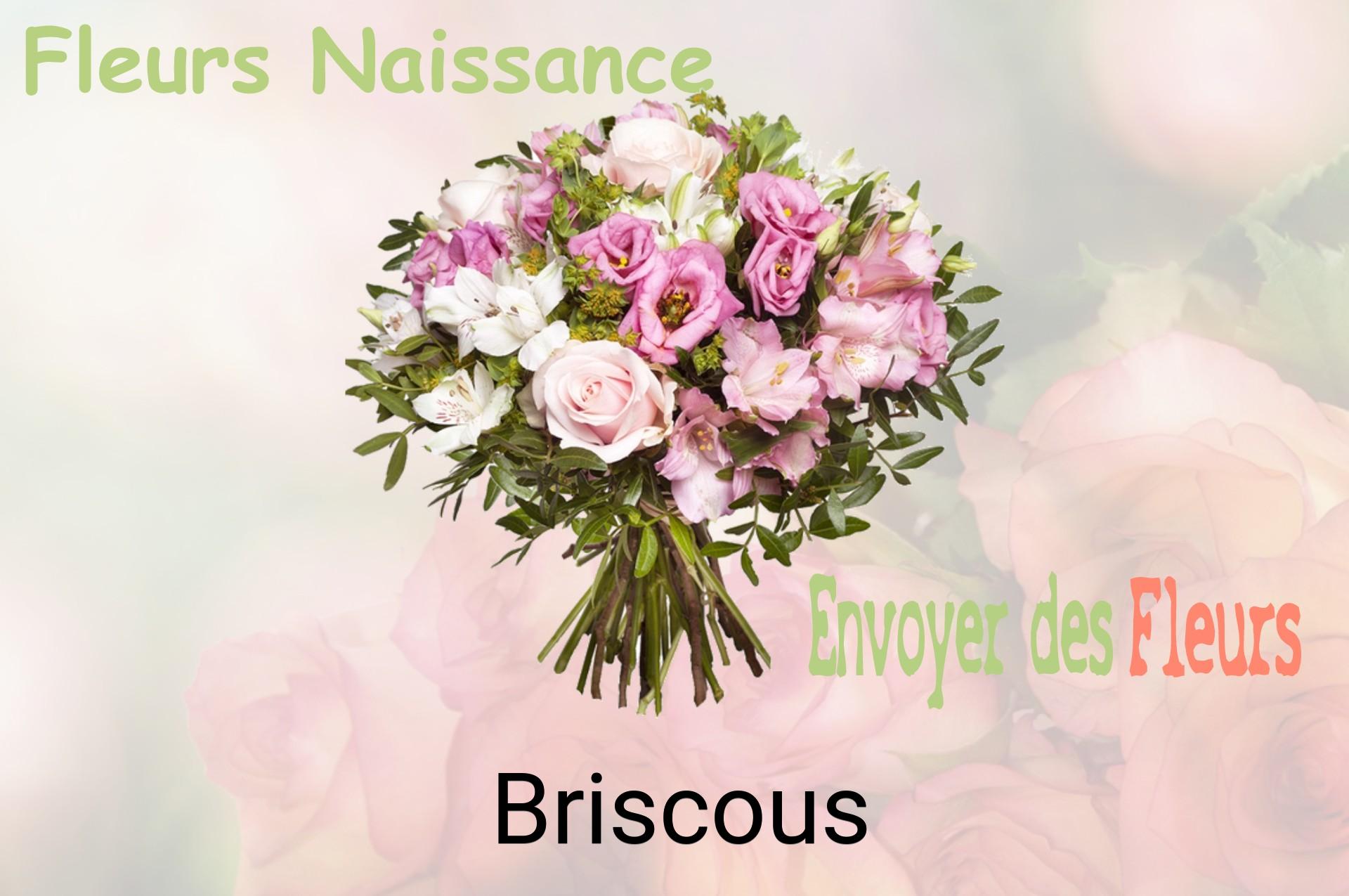 Bouquet de fleurs de naissance livré à Briscous